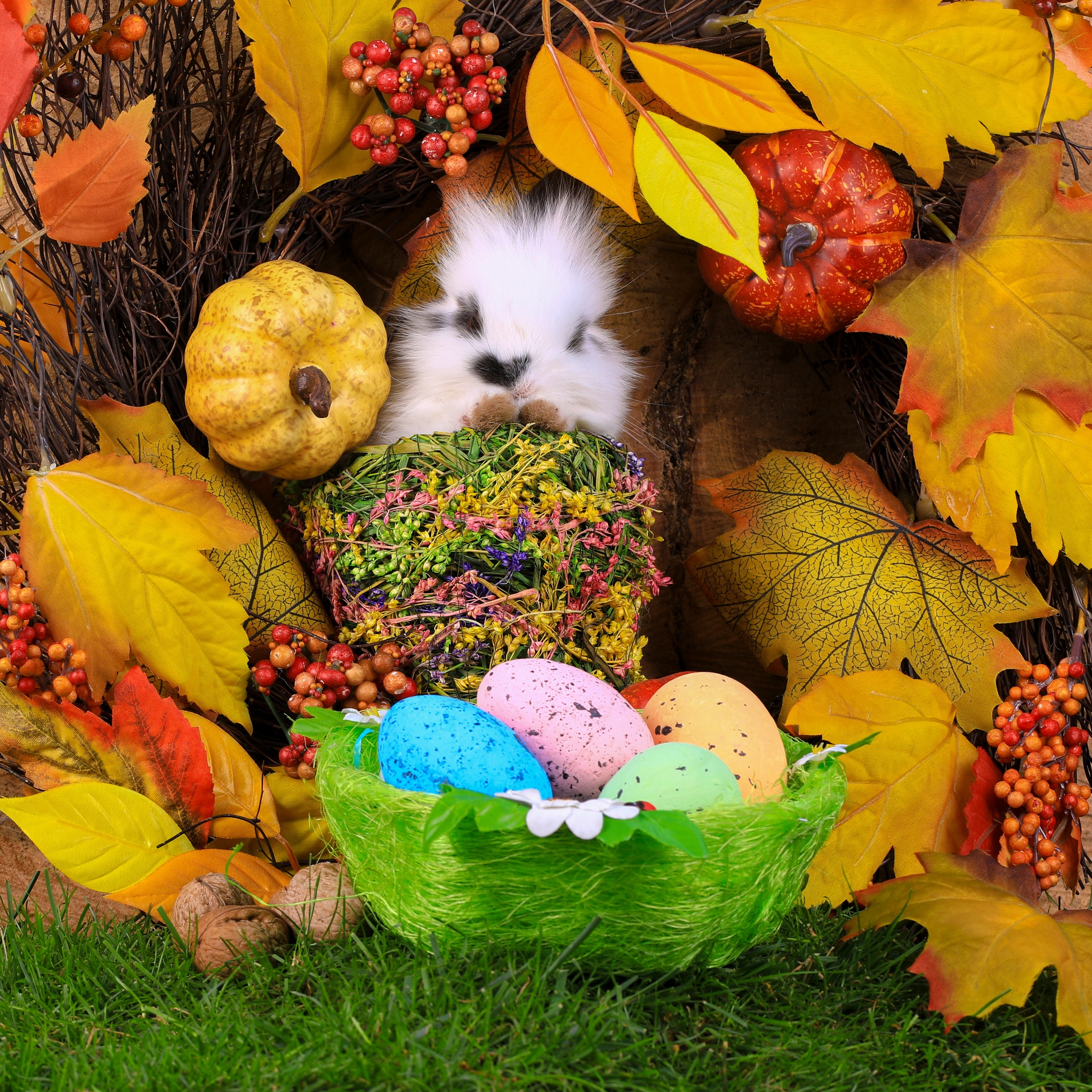 Cute Easter Bunny and Eggs in Basket jigsaw puzzle by Gotiva