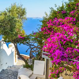 Seaside Garden On A Summer Day jigsaw puzzle by Gotiva