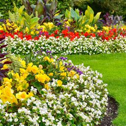 Spring Is Here Again jigsaw puzzle by Gotiva