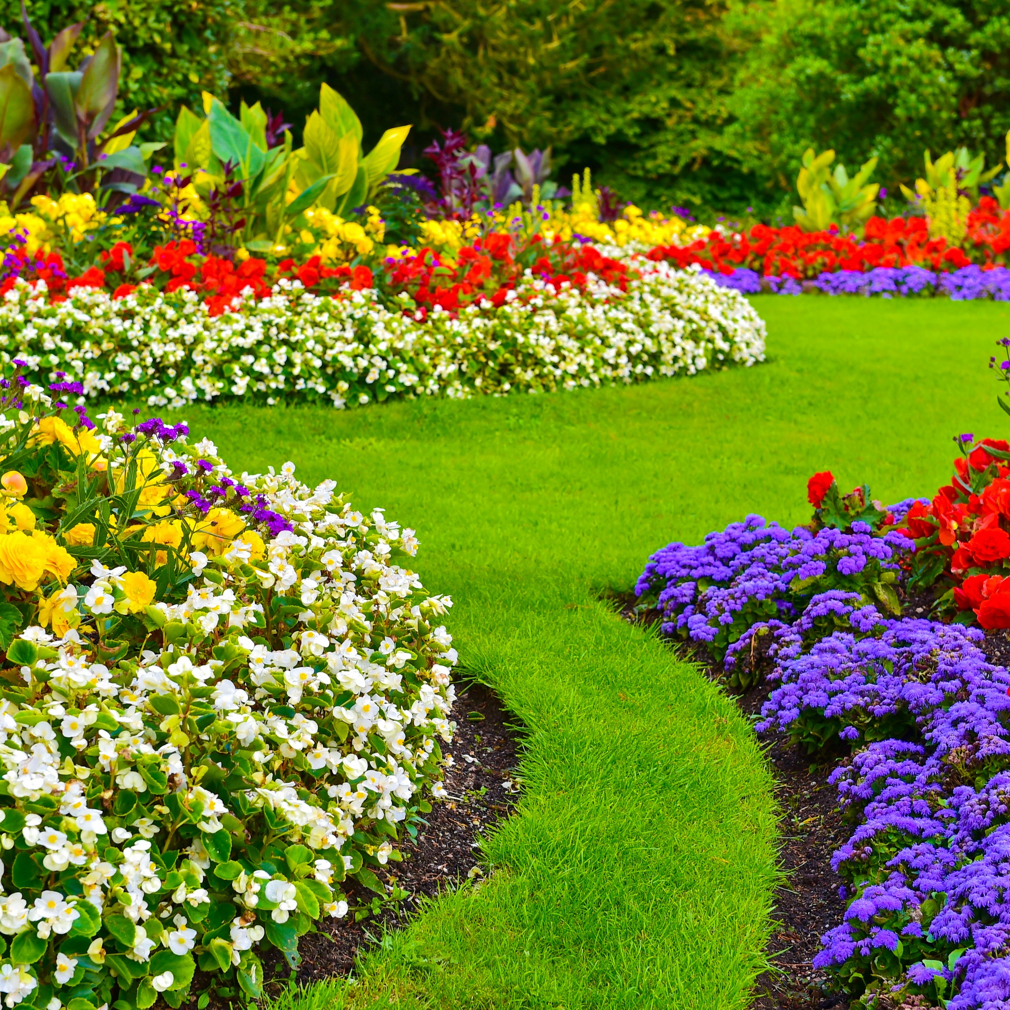 Spring Is Here Again jigsaw puzzle by Gotiva