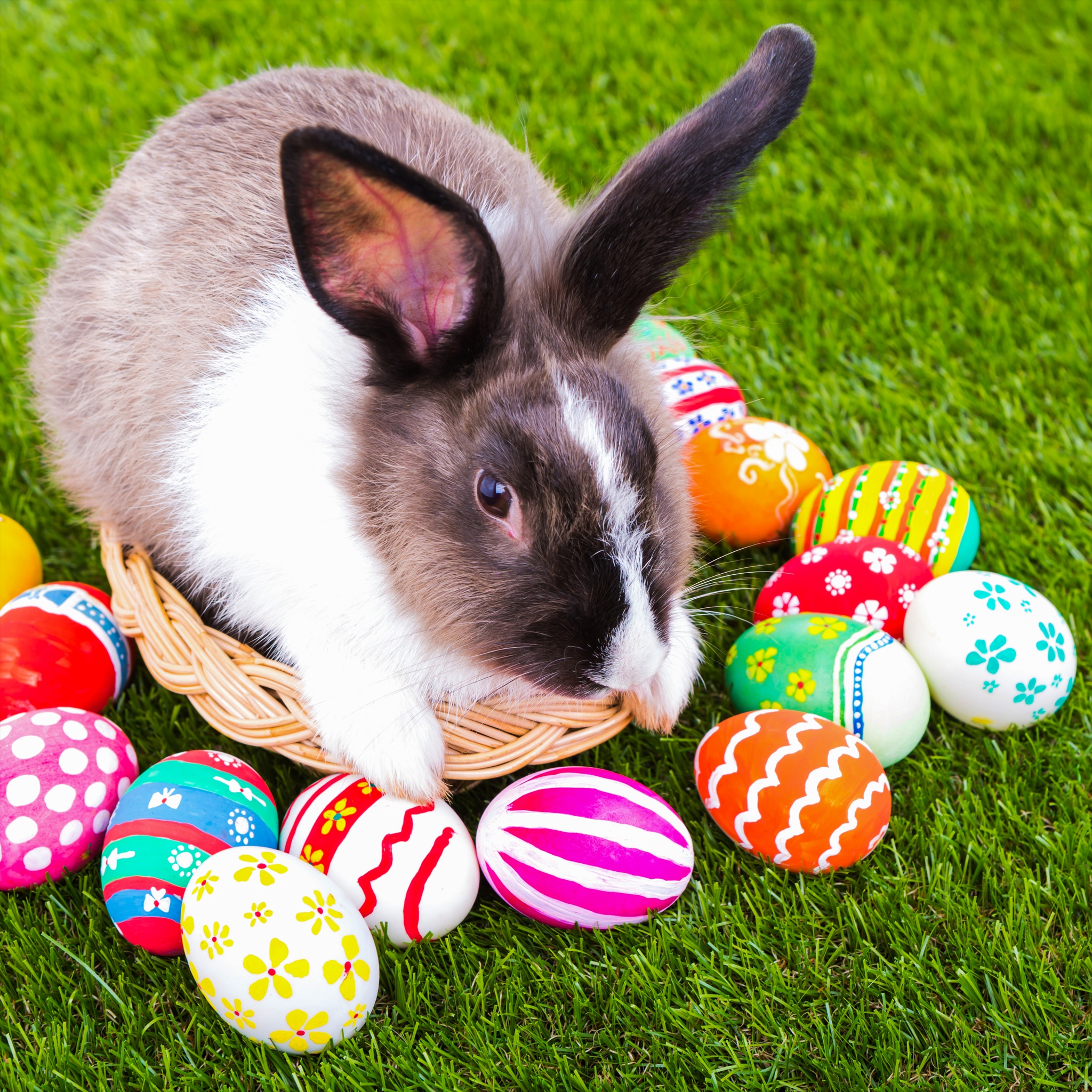 Funny Bunny and Easter Eggs jigsaw puzzle by Gotiva