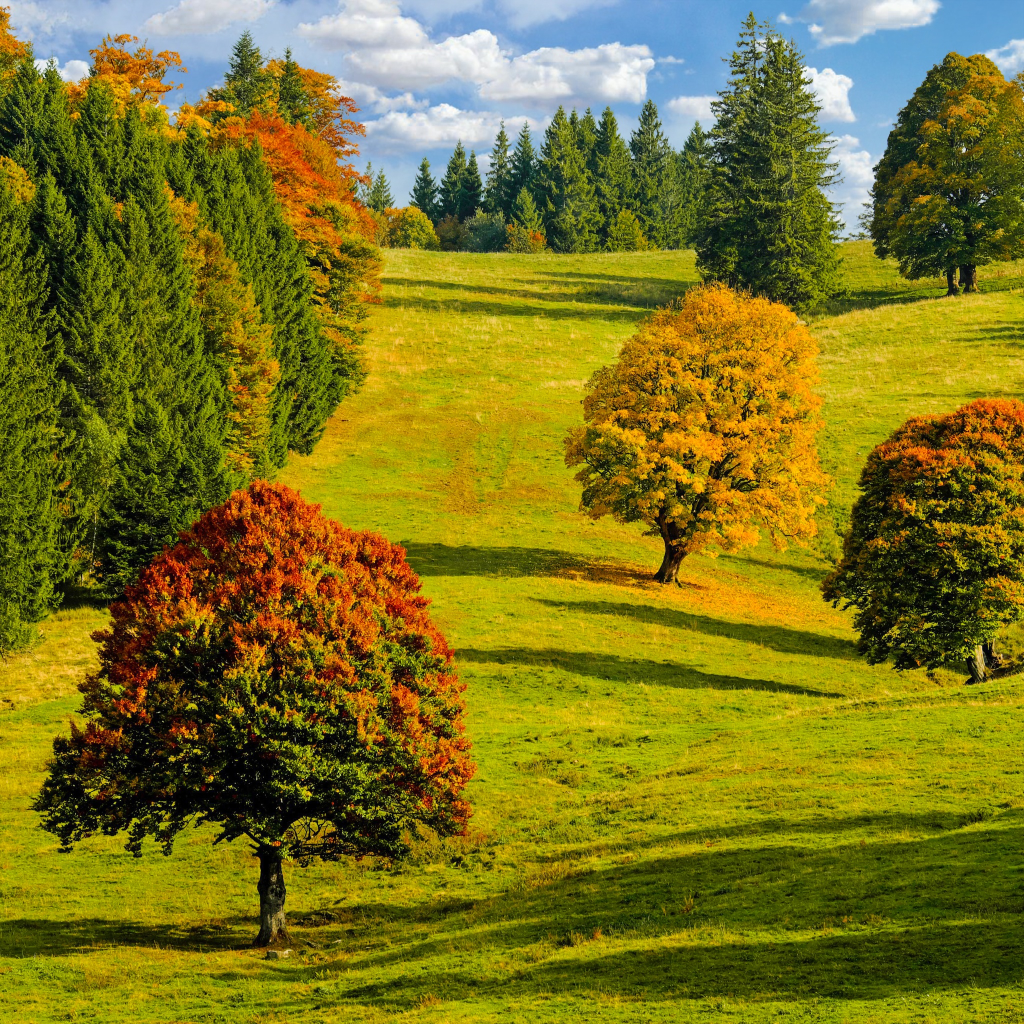 Endless Nature jigsaw puzzle by Gotiva