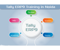 Tally Institute in Noida, Sector 1, 2, 3, 15, 16 18, 63, 62, Free SAP, GST Certification, SLA Accoun