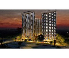 What are the floor plans for Spring Homes? - Image 4