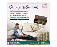 Reasons to buy a home in Spring Homes