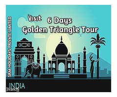 Travel Agents in Delhi - Image 4