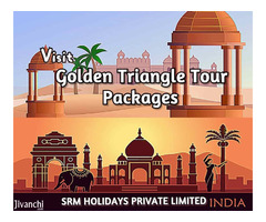 Travel Agents in Delhi - Image 5