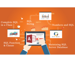 Microsoft MIS & Excel Training classes in Noida