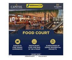 Capitol Avenue Noida, Capitol Avenue Review - Image 10