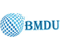 Best SEO Company in Noida