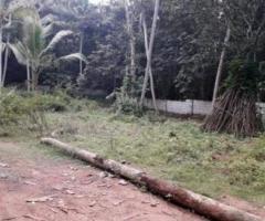 13066 ft² – 30 cent Residential Land / Plot for sale Parampipalam