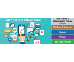 Job Oriented MIS Institute in Delhi, Noida, Ghaziabad, Excel Course, VBA Macros SQL, Free MNC Placem