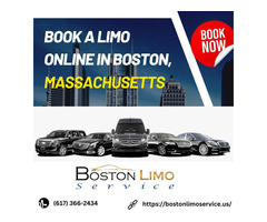 BOSTON LIMO SERVICE - Image 6