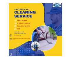 Carpet Cleaning Deer Park