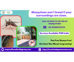 Mosquito Control Services in Goa