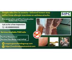 Termite Pest Control in Mumbai