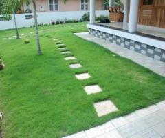PLANTSCAPE & VARIETY GARDENING