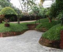 PLANTSCAPE & VARIETY GARDENING - Image 3
