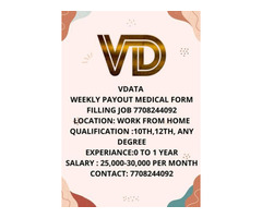 Work at home with US Medical Form Filling projects +91 7708244092