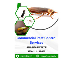 Cockroach Control in Bangalore