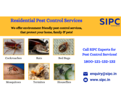Pest Control in Mumbai