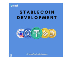 Stablecoin development company
