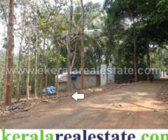 Plot located at Parayattukonam Road,