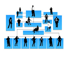 Amazon Org Chart: A complete guide to its Organizational Structure
