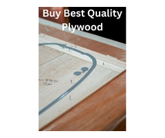 Best Plywood Manufacturers In Yamunanagar