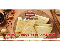 Top Papad Industry Manufacturers & Suppliers of Rajasthan: Anand Food Product