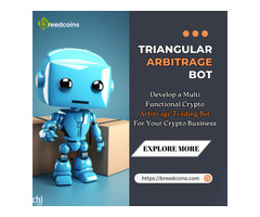 Triangular Arbitrage Trading Bot Development Service Provider