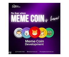 Meme coin development company