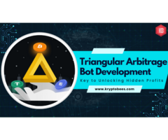Triangular Arbitrage Bot Development Company
