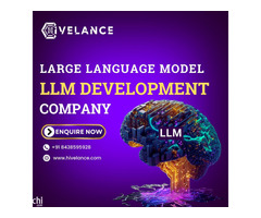 Large Language Model Development Company