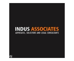 Best Divorce Advocate in Chennai | Indus associates