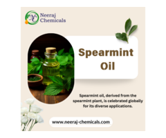 Spearmint Oil Wholesalers in India