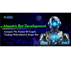 Maestro Bot: Your Shortcut to Crypto Success