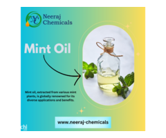 Mint Oil Wholesalers in India
