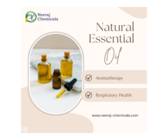 Natural Essential Oil Wholesalers in India