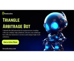 Get your High tech services in Triangular Arbitrage Bot