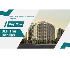 DLF The Dahlias | Best-Class Homes For You