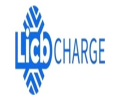 China LiCB AC DC EV Charger Co., Ltd