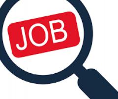 Urgently Requirement Male/Female Candidates.Call me 07277203064