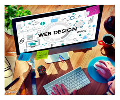 Professional Website Designing & Web Development Company in Delhi