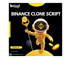 Effective Strategies to Boost Your Business Growth Using a Binance Clone Script