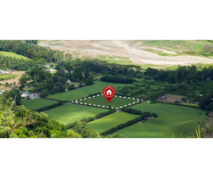 Buy Apartments in Gurgaon at best Prices - Image 2