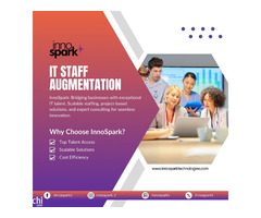 IT Staff Augmentation Companies in India