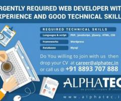 Urgently Required Web Designer