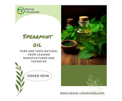 Spearmint Oil Suppliers in Sambhal