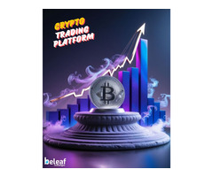 OTC Crypto Trading Platform Development